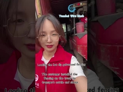 Dekoracyjny panel ogrodzeniowy z siatki drucianej w kształcie trójkąta, wysokie bezpieczeństwo, niestandardowy kolor